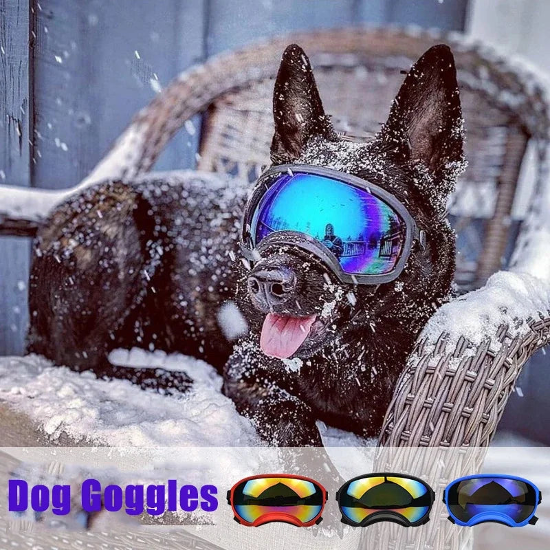 Gafas ajustables para perros