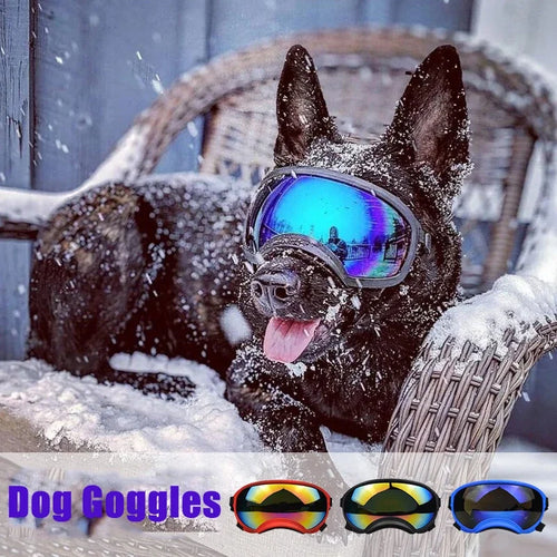 Gafas ajustables para perros