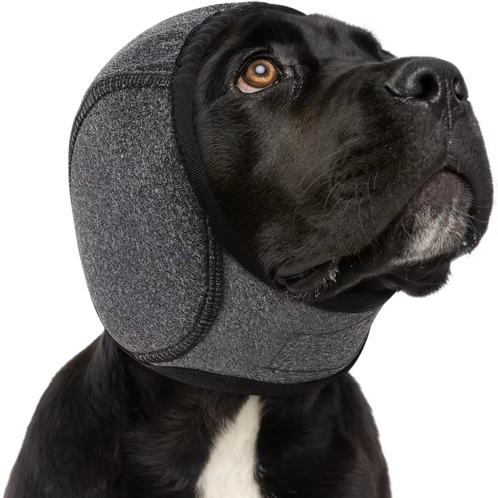 Orejeras impermeables para perros