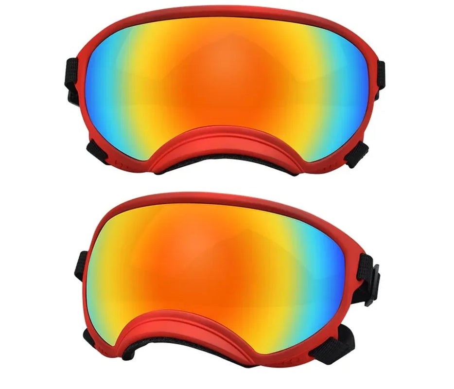 Gafas ajustables para perros
